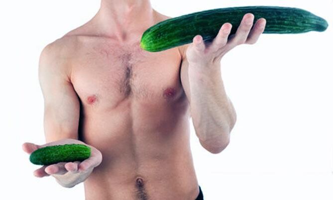 Visualisation d'un petit et grand pénis masculin